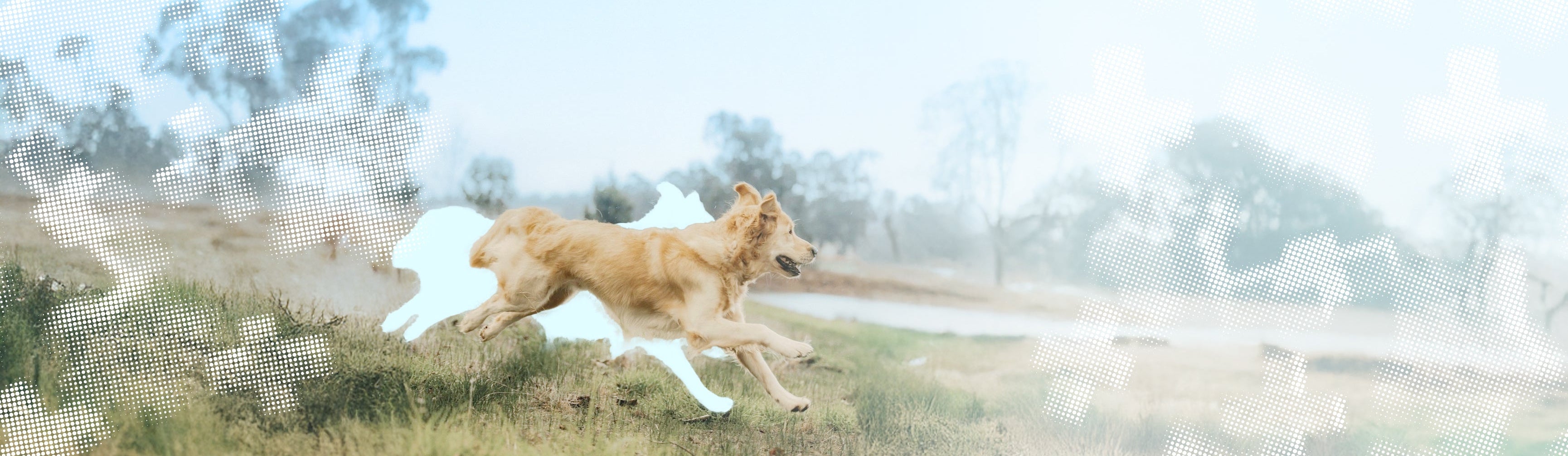 slider image slider_item_z3EUBQ